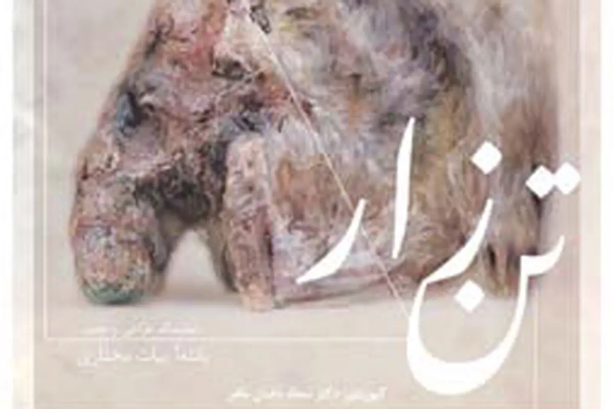 «تن‌زار» در نگارخانه نگر

