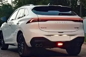 فروش لاماری آغاز می‌شود