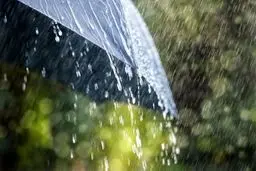 رگبار پراکنده در برخی استان‌ها