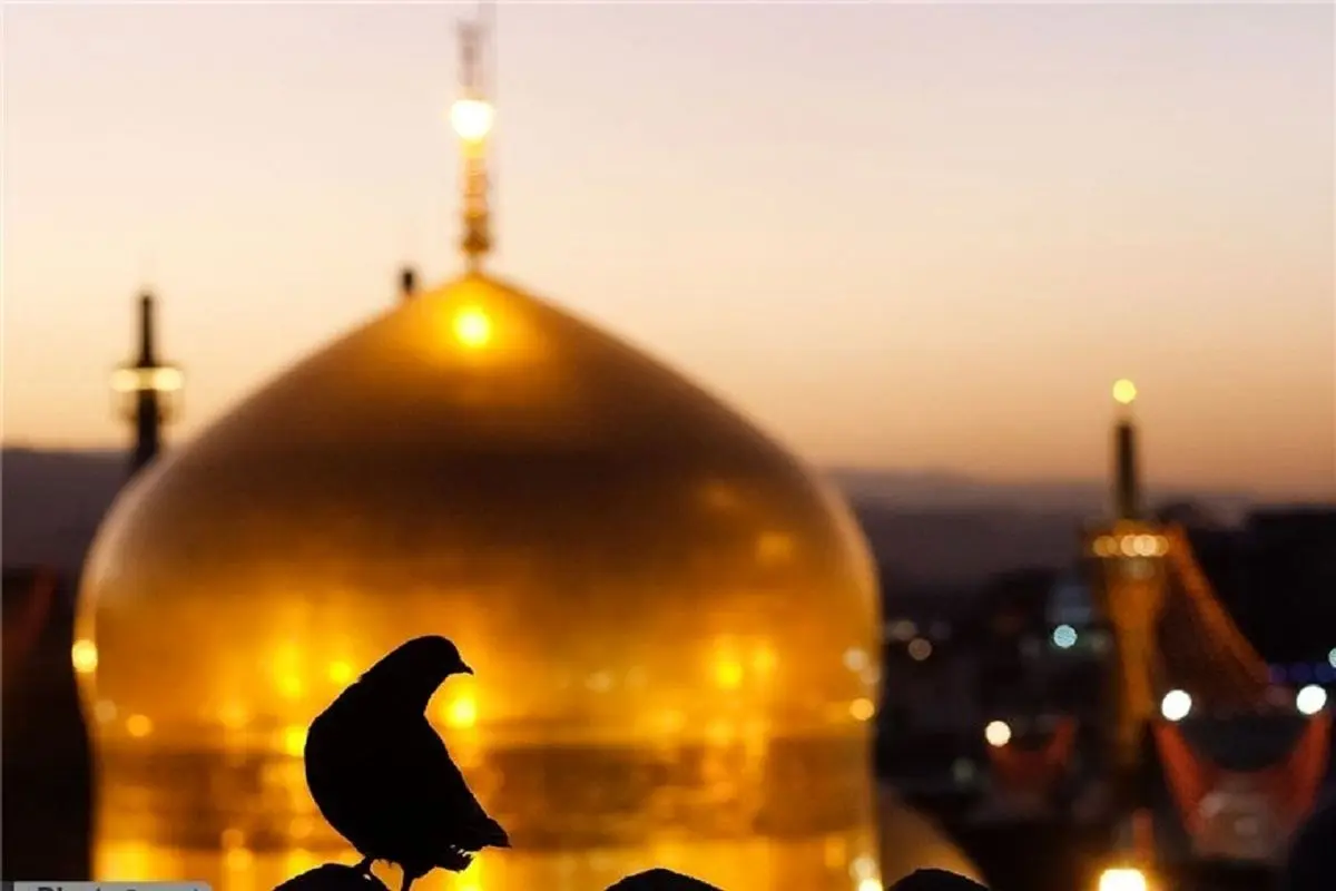 شب یلدای بیماران در حرم امام رضا (ع)+ ویدئو