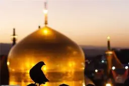 تکمیل ظرفیت حرم مطهر رضوی 