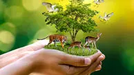 ۷ اقدام نهمین رئیس‌جمهوری برای حمایت و حفاظت از حیوانات و حیات‌ وحش