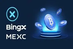 چگونه یک صرافی جایگزین پیدا کنیم؟