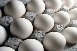 قیمت تخم‌مرغ کاهش یافت