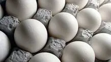 یافتن درمان مناسب برای سرطان با استفاده از تخم مرغ