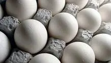 کاهش قیمت تخم‌مرغ به دلیل ناتوانی مردم در خرید
