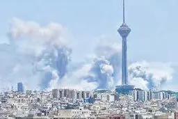 چه کار باید بکنیم


