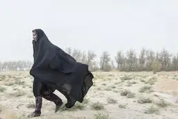 هشدار وقوع توفان شن در قم، سمنان، سیستان‌ و خراسان‌جنوبی

