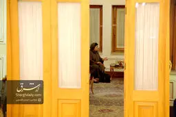 دیدار نماینده ویژه سازمان ملل متحد در امور افغانستان با حسین امیرعبداللهیان
