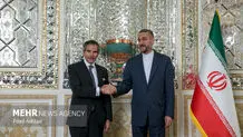 IAEA chief meets Iranian FM in Tehran
