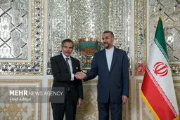 IAEA chief meets Iranian FM in Tehran