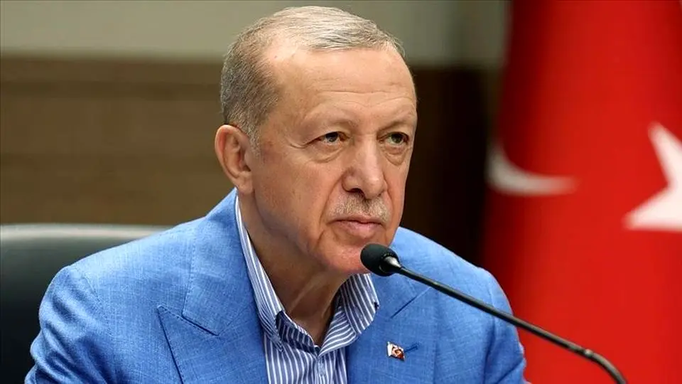 درخواست اردوغان برای ساخت کارخانه تسلا در ترکیه