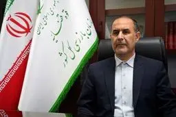 بیشتر تکالیف در حوزه اقتصادی قانون جوانی جمعیت به نحو کامل اجرا نشده / توضیح ۴۶ مدیر اخذ شده