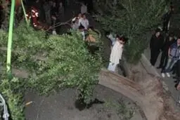 فوت ۲ کودک در پی سقوط درخت در پارک جنگلی نور مازندران