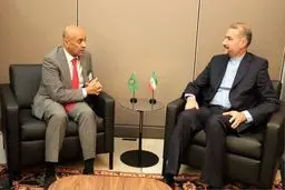 دعوت امیر عبداللهیان از دبیرکل شورای همکاری خلیج فارس برای سفر به ایران

