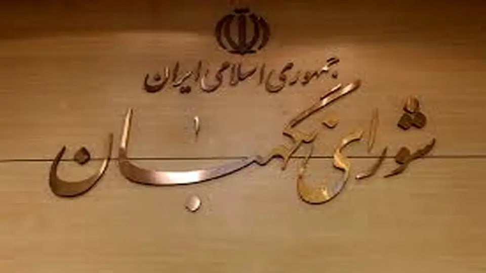 شورای نگهبان طرح جاسوسی را برگشت زد
