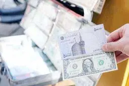 بلای چند‌نرخی
