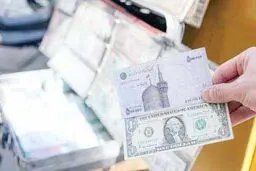 بلای چند‌نرخی

