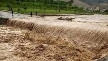 سیل در جیرفت کرمان/ قطع برق ۱۳ روستا/ ویدئو
