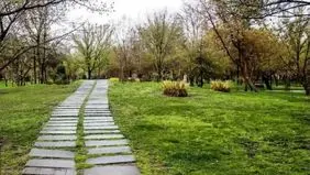 شاخص کیفیت هوای مشهد امروز 29 شهریور1404؛هوای مشهد قابل قبول است

