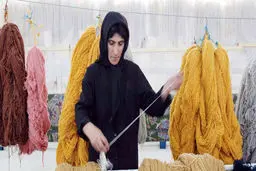 اشتغال، حلقه مفقودمانده  اشتراکات اجتماعی زنان
