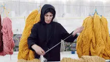 معاون رئیس جمهور: من از زنان ایرانی الهام گرفته ام