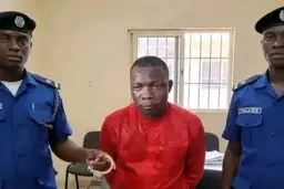 جادوگری که به تیم مالی وعده قهرمانی داده بود دستگیر شد