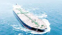 نفت سردرگم