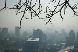  هشدار درباره بارگذاری سنگین و آینده غیرقابل سکونت تهران