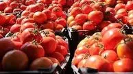ارزانی گوجه فرنگی تا هفته آینده ؛ گوجه به کیلویی چند می رسد؟
