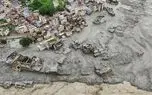 آمار جدید از تعداد کشته‌شدگان سیل نپال / ۲۴۸۲ نفر مفقود هستند 