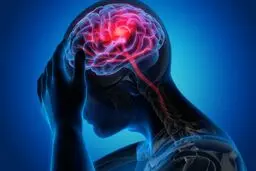 یک کشف غیرمنتظره دانشمندان درباره مغز
