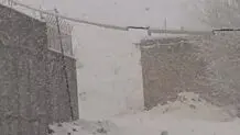 بارش شدید برف در خلخال/ رانندگان از زنجیر چرخ استفاده کنند