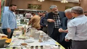 مصرف متعادل کود سطح تولید محصولات راهبردی کشاورزی را افزایش می دهد