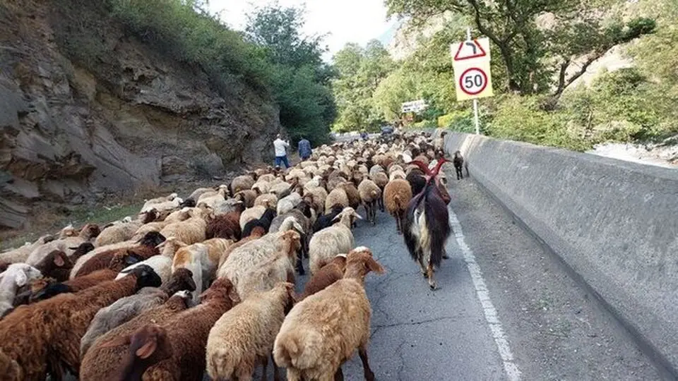 جاده چالوس مسدود است