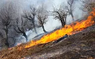 ۴ درصد از‌ آتش سوزی‌ در جنگل‌ها عمدی است