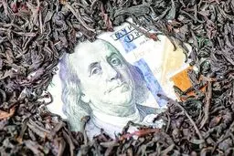 وقتی نوشیدن چای خستگی را بیشتر می‌کند