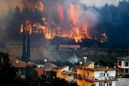 آتش‌سوزی در غرب ترکیه همچنان ادامه دارد + ویدئو