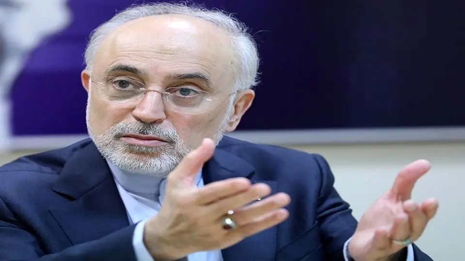 ناگفتههای صالحی از توافق هستهای