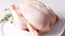 قیمت مرغ رسما افزایش یافت؟