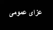 اعلام عزای عمومی در سراسر کشور در پی حادثه بندرعباس
