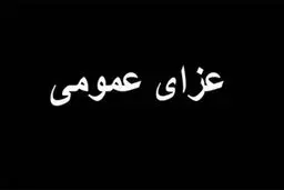 اعلام عزای عمومی در سراسر کشور در پی حادثه بندرعباس

