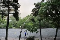 پیش بینی هوای همدان؛ سه شنبه ۲۵ فروردین ۱۴۰۵/ وزش شدید باد و بارش باران