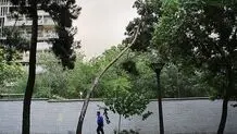 پیش بینی هوای همدان؛ سه شنبه ۲۵ فروردین ۱۴۰۵/ وزش شدید باد و بارش باران