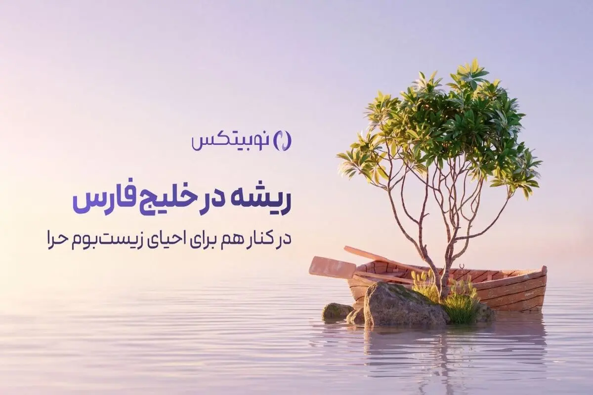 ریشه در خلیج فارس؛ مشارکت نوبیتکس در احیای جنگل‌های حرا