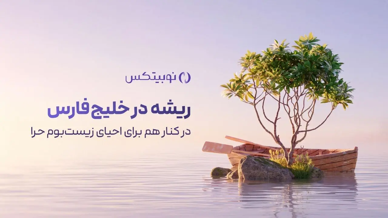 ریشه در خلیج فارس؛ مشارکت نوبیتکس در احیای جنگل‌های حرا