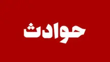 یک کفتار در جاده خراسان  تصادف کرد 