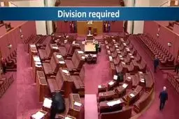 توهین سناتور استرالیایی به مسلمانان جنجالی شد+ ویدئو