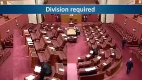 توهین سناتور استرالیایی به مسلمانان جنجالی شد+ ویدئو