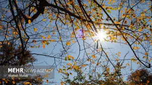 تصاویر زیبا و دیدنی از جنگل های پاییزی گرگان